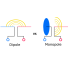 Monopole vs Dipole Antennas What’s the Difference?